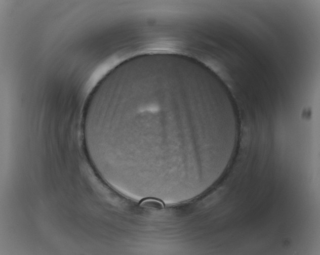 X0000113221469200910081329
