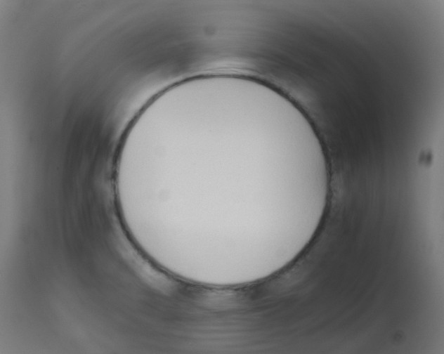 X0000113221470200910081329