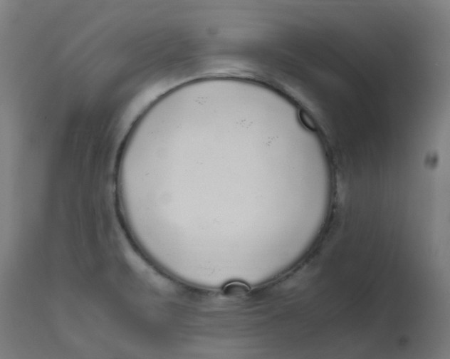 X0000113221471200910081329