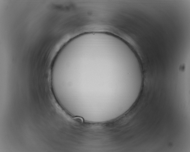 X0000113221472200910081329