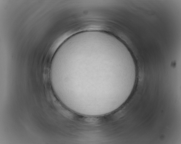 X0000113221473200910081329