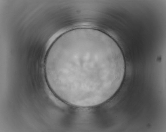 X0000113221474200910081329