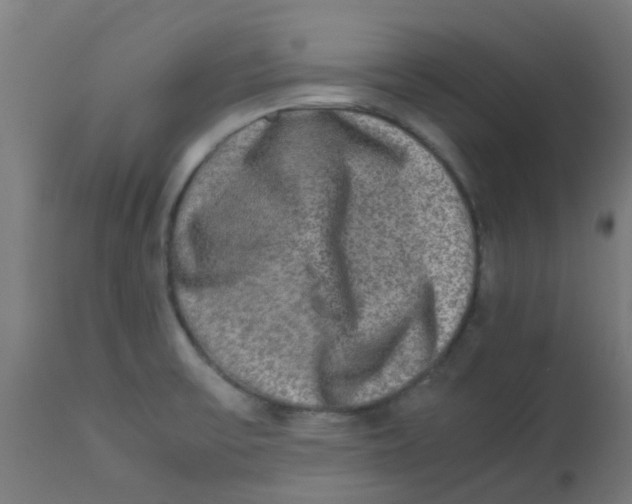 X0000113221475200910081329