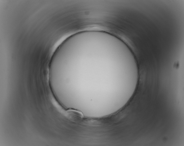 X0000113221476200910081329