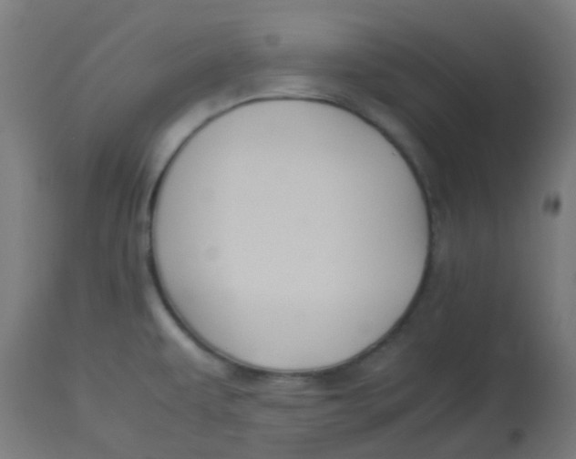 X0000113221479200910081329
