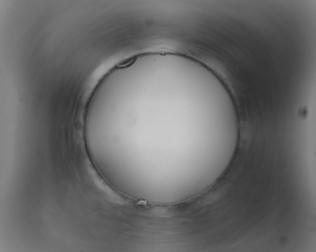 X0000113221480200910081329