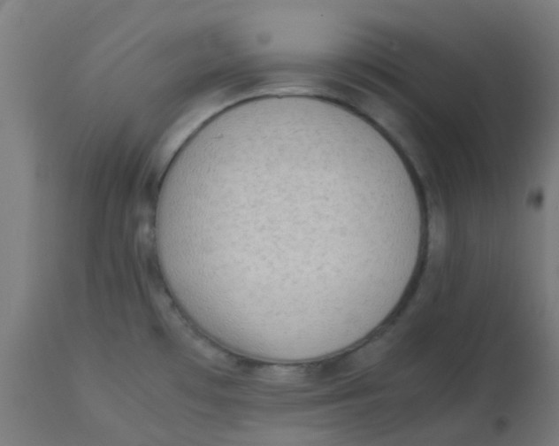 X0000113221481200910081329
