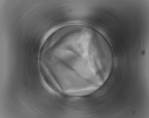 X0000113221482200910081329