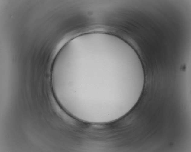 X0000113221483200910081329
