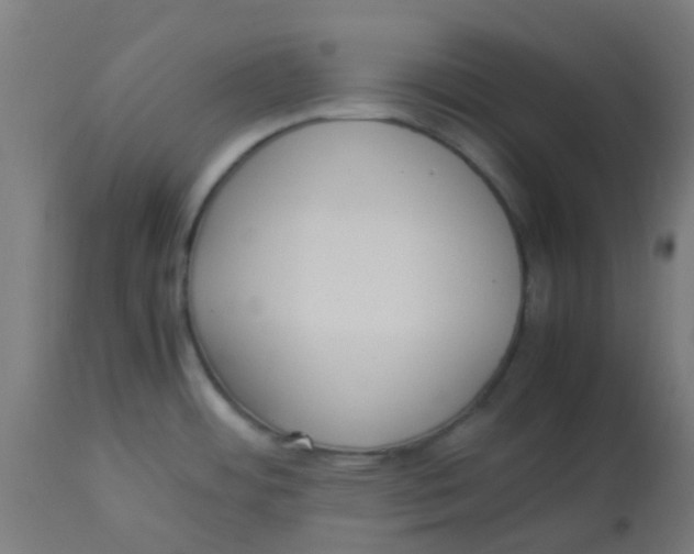 X0000113221484200910081329