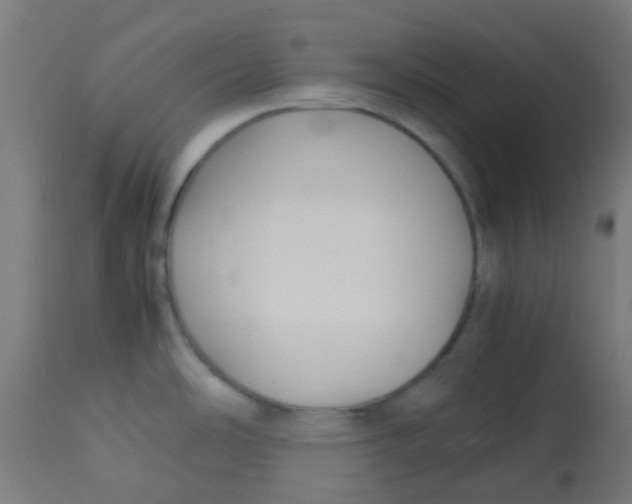 X0000113221486200910081329