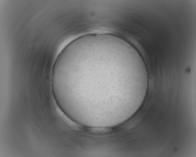 X0000113221487200910081329