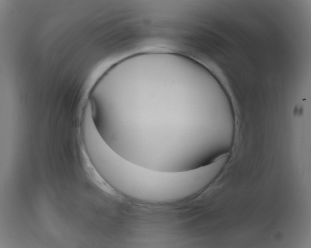 X0000113221488200910081329