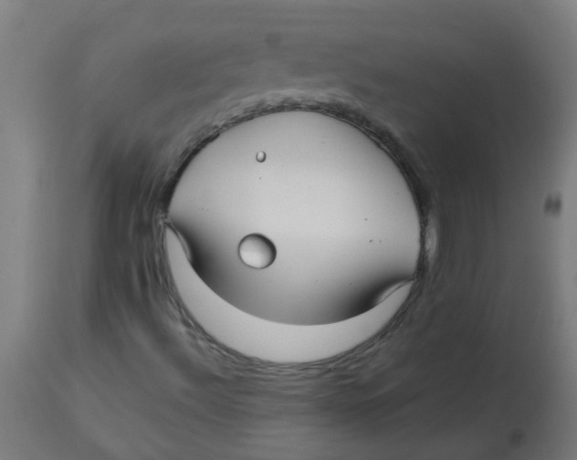 X0000113221492200910081328