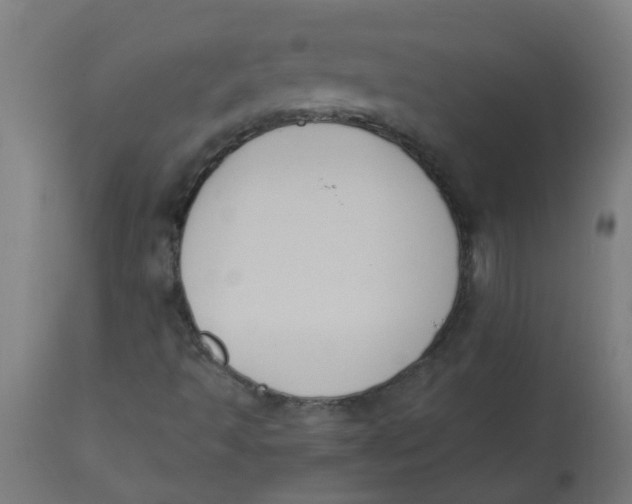 X0000113221493200910081328
