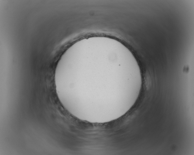 X0000113221494200910081328