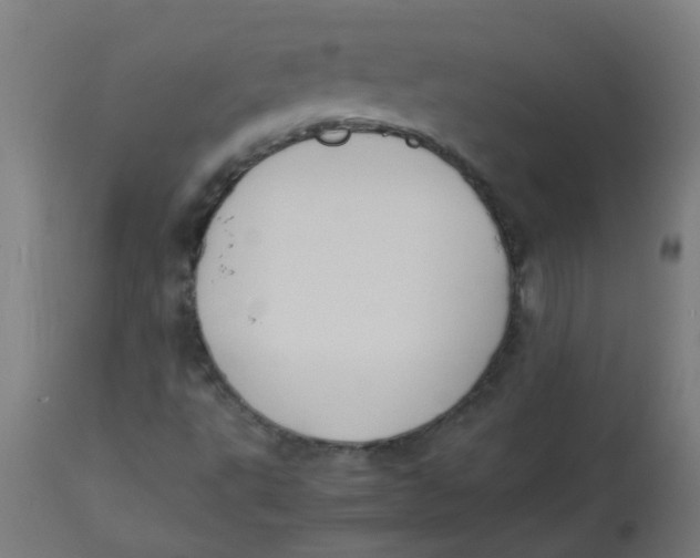 X0000113221495200910081328