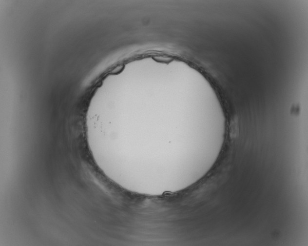 X0000113221496200910081328