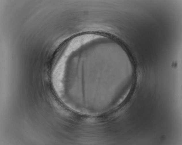 X0000113221497200910081328