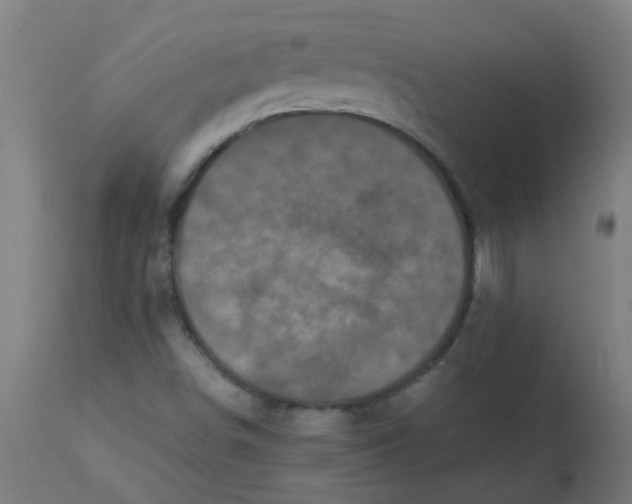 X0000113221498200910081328