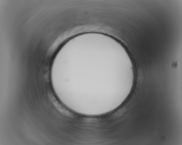 X0000113221499200910081328