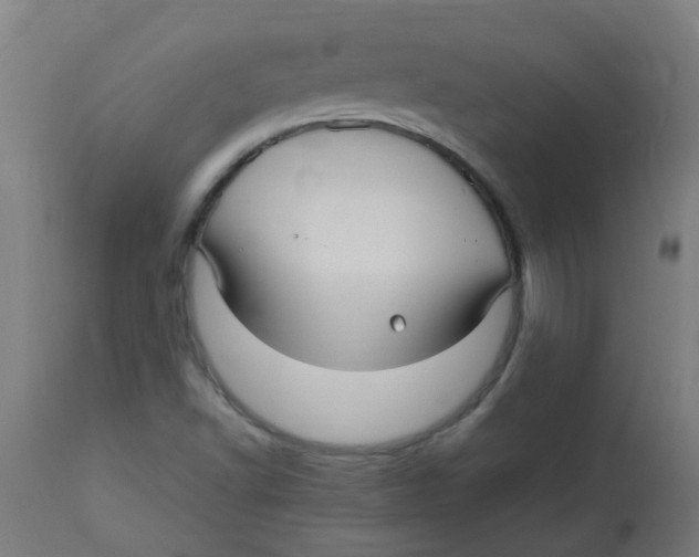 X0000113221502200910081328