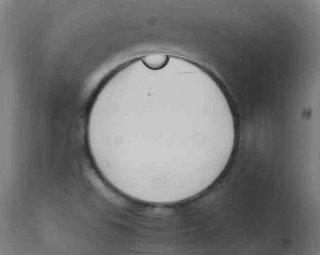 X0000113221503200910081328