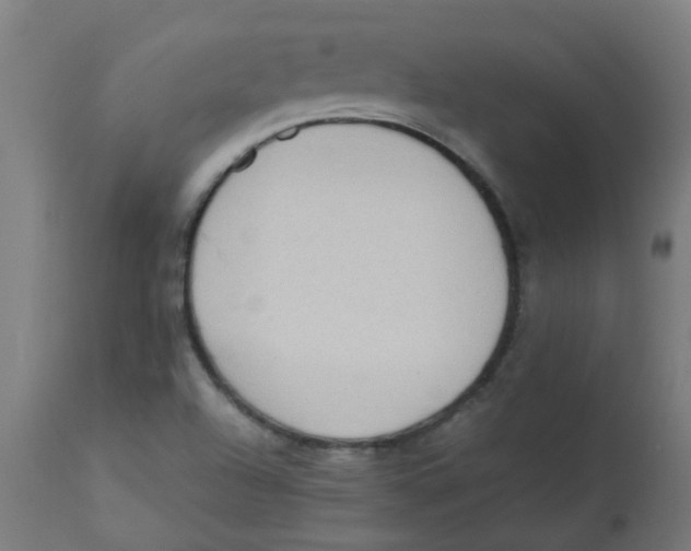 X0000113221504200910081328