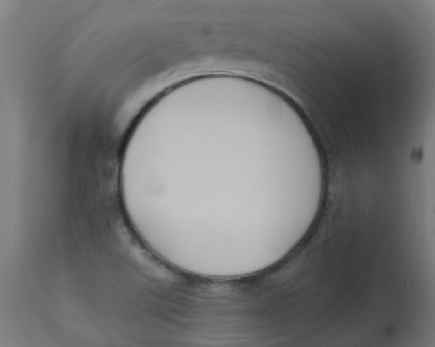 X0000113221507200910081328