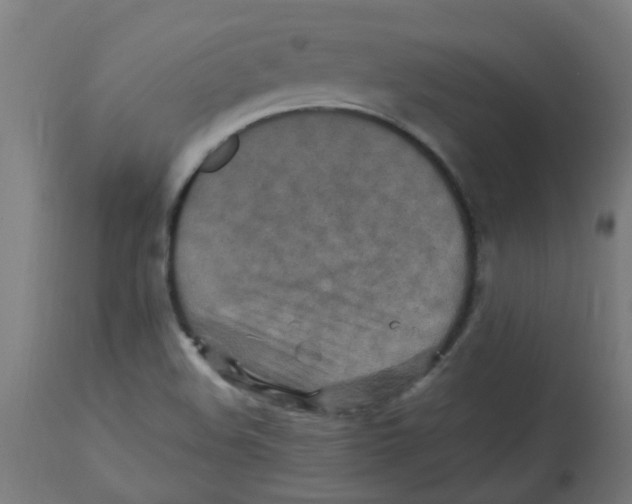 X0000113221508200910081328