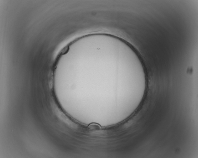 X0000113221510200910081328