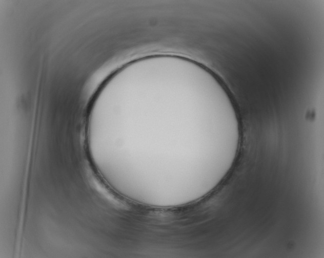 X0000113221511200910081328