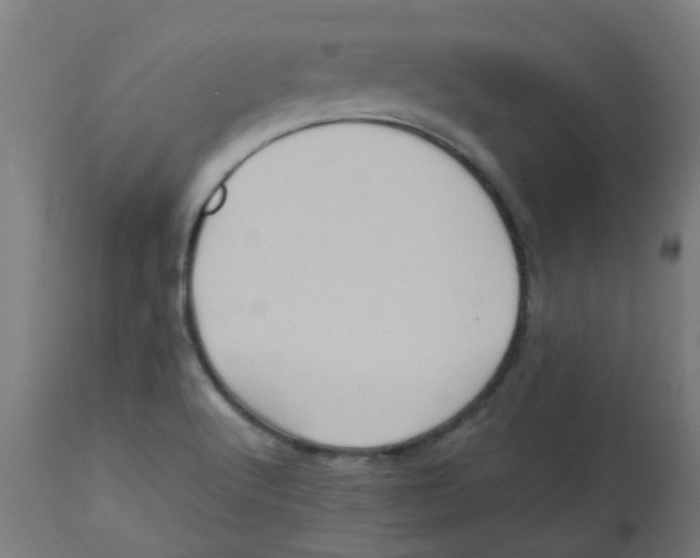 X0000113221512200910081328