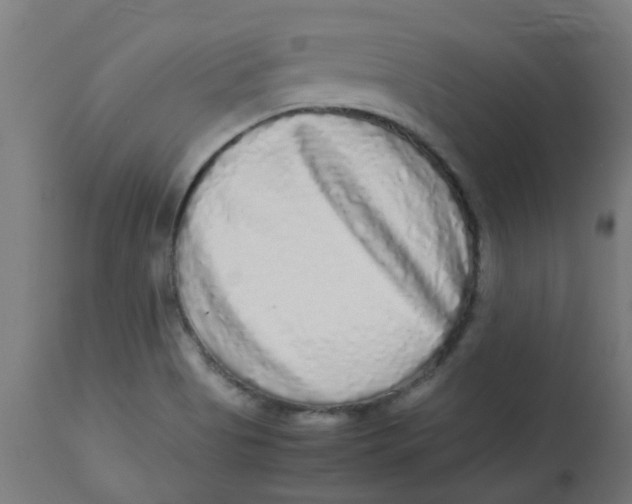 X0000113221513200910081328