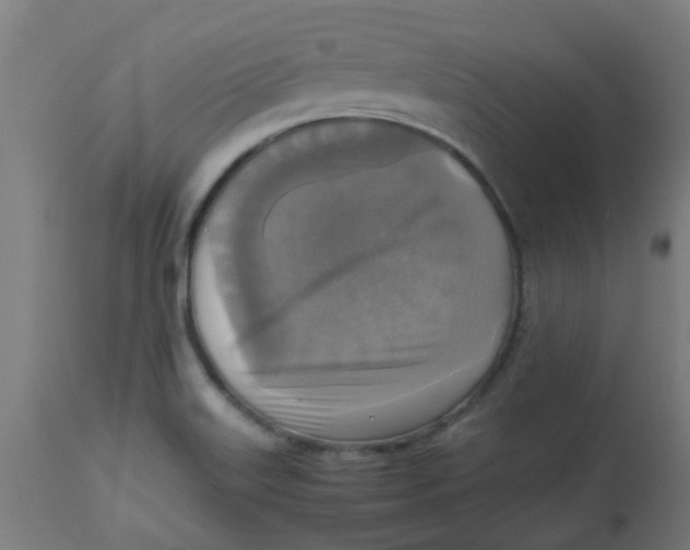 X0000113221515200910081328