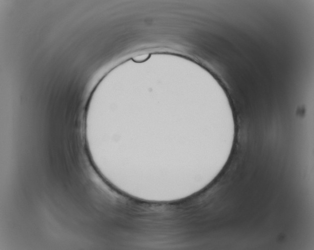X0000113221516200910081329