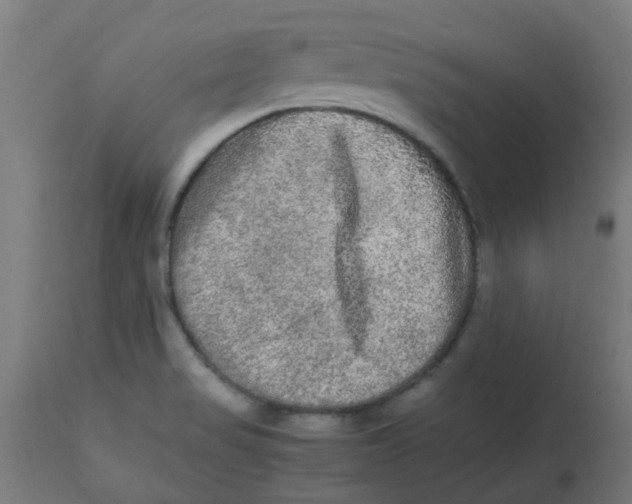 X0000113221517200910081329