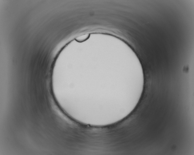 X0000113221518200910081329
