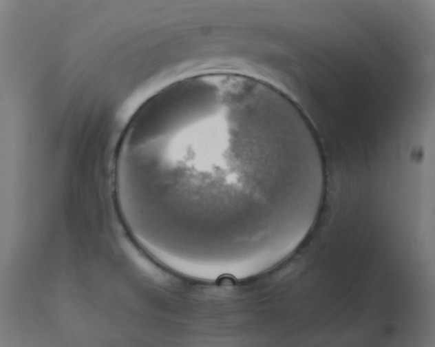 X0000113221519200910081329