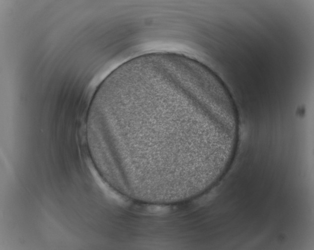 X0000113221521200910081329