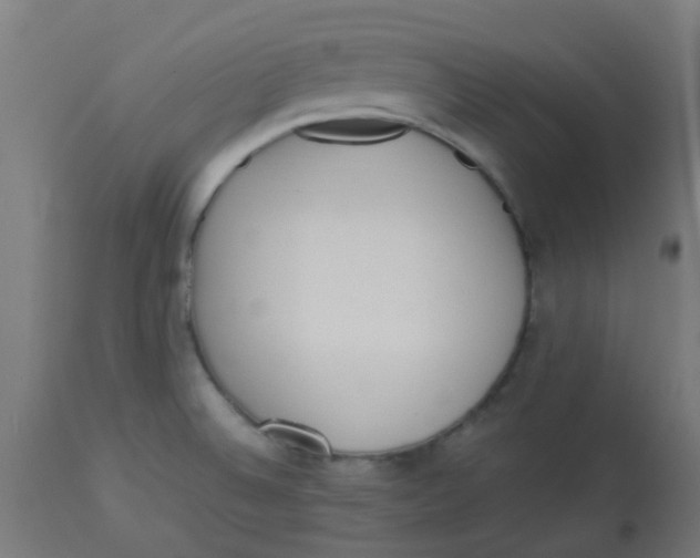 X0000113221524200910081329