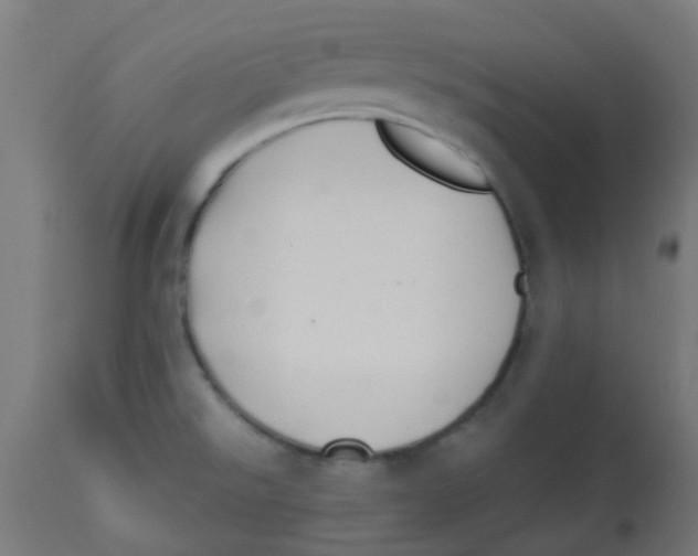 X0000113221526200910081329