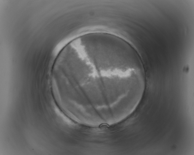 X0000113221527200910081329