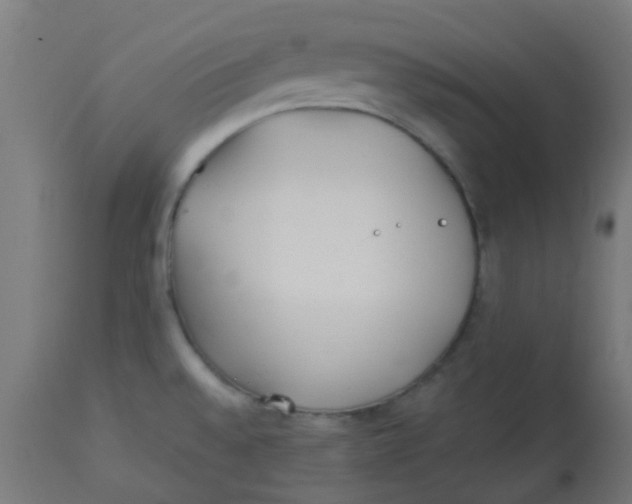 X0000113221528200910081329