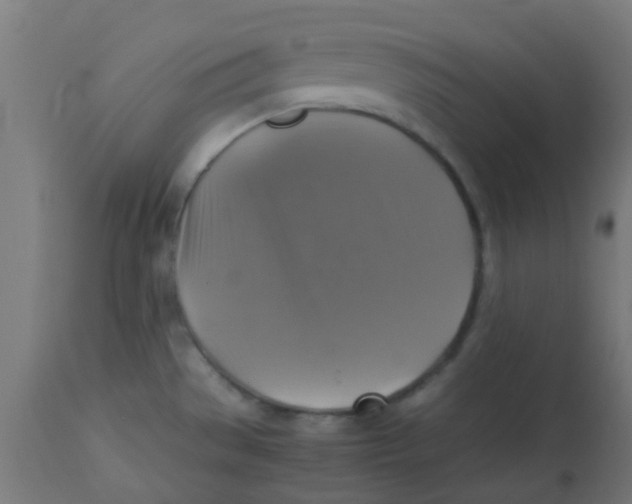 X0000113221529200910081329