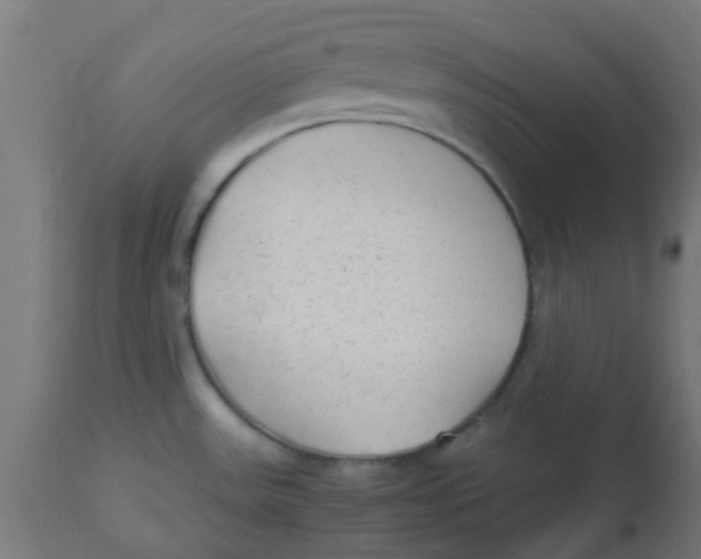 X0000113221531200910081329