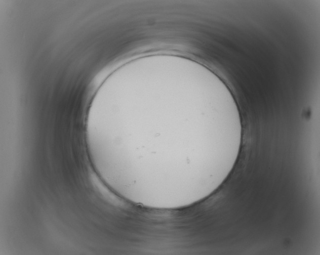 X0000113221532200910081329
