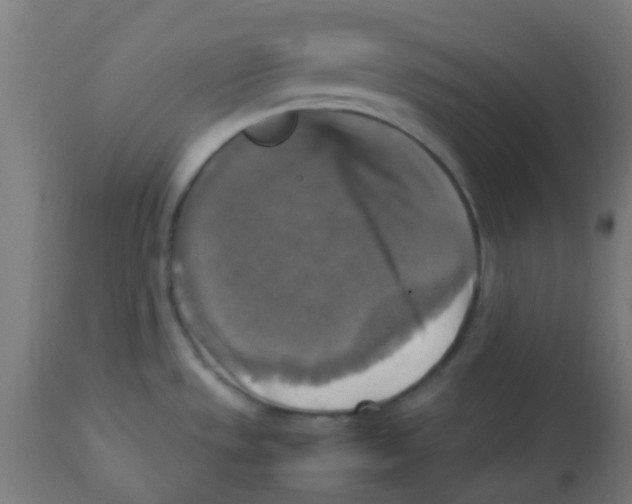 X0000113221533200910081329