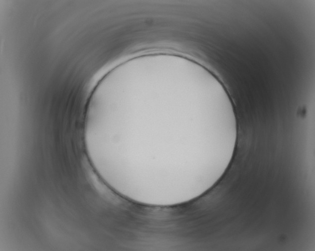 X0000113221534200910081329