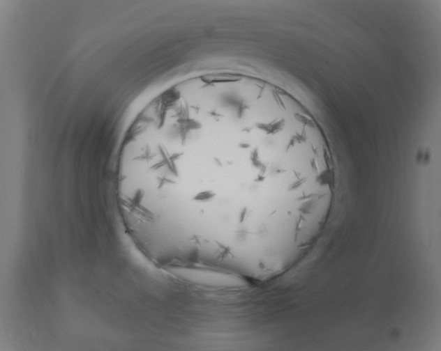 X0000113221536200910081329